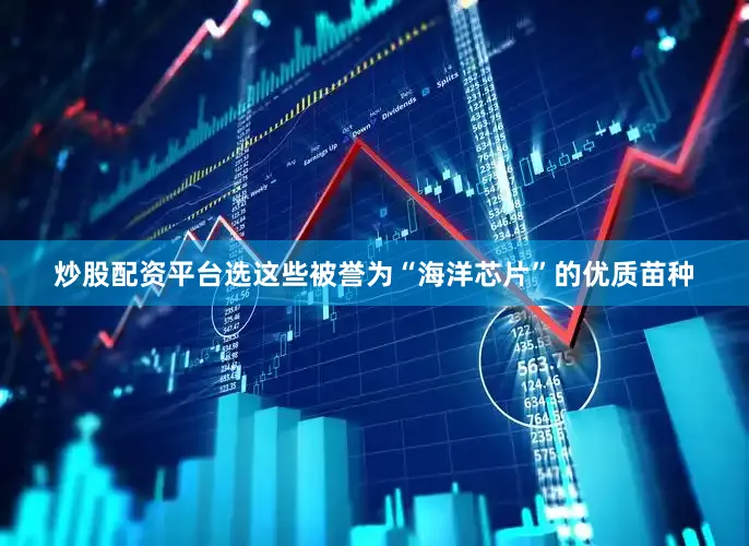炒股配资平台选这些被誉为“海洋芯片”的优质苗种