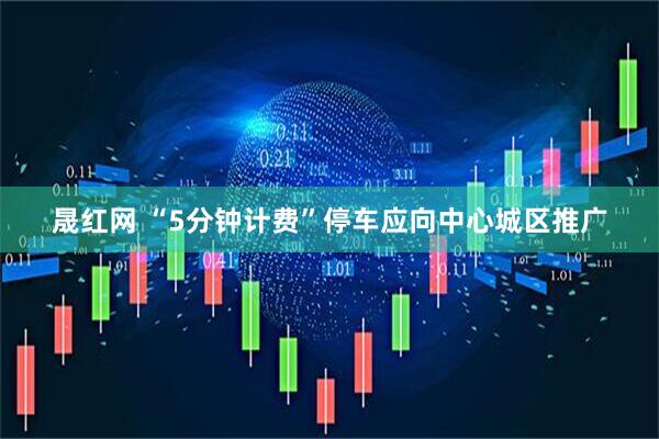 晟红网 “5分钟计费”停车应向中心城区推广