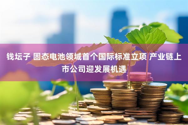 钱坛子 固态电池领域首个国际标准立项 产业链上市公司迎发展机遇